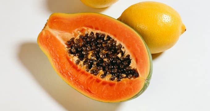 Papaya