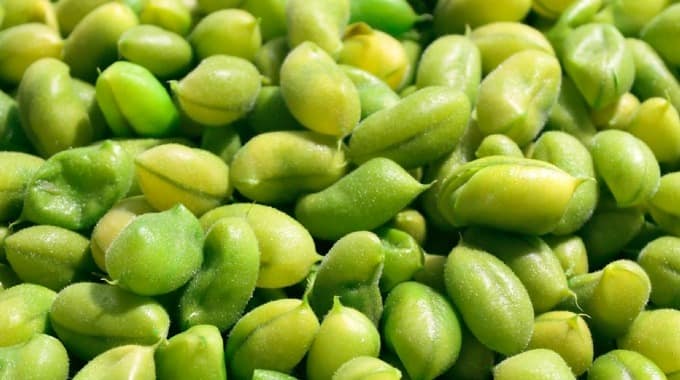 Edamame