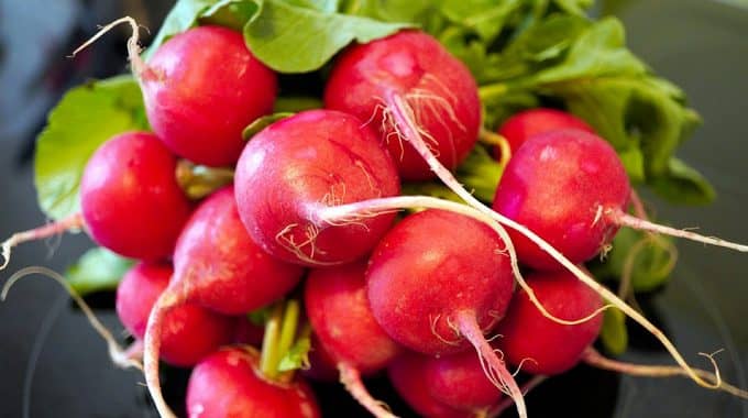 Radishes